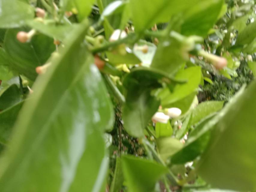 老苏服务日记2023年6月19日