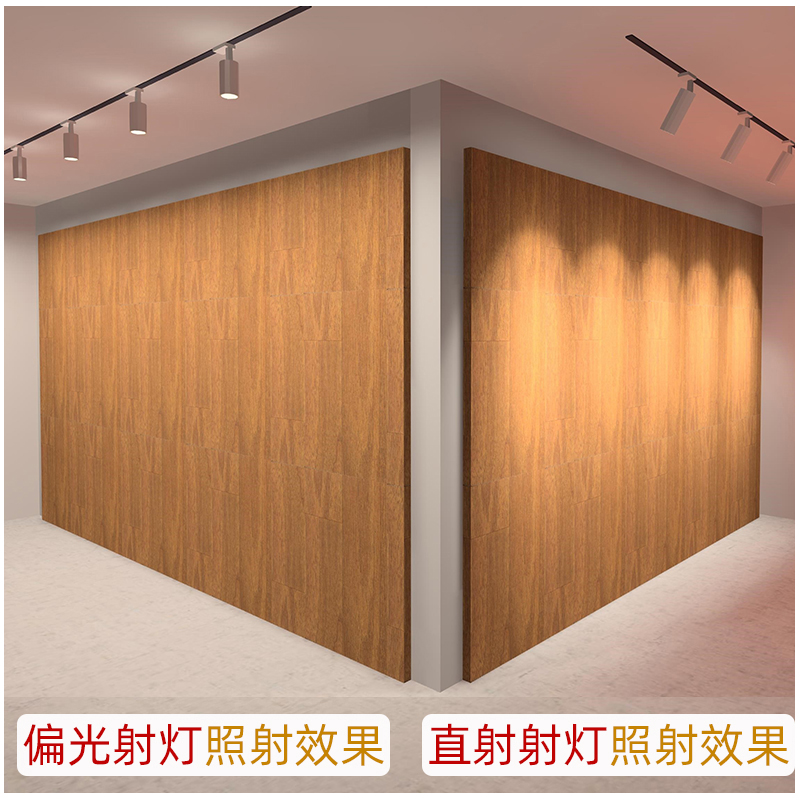 G402S6偏光款 轨道射灯5.jpg