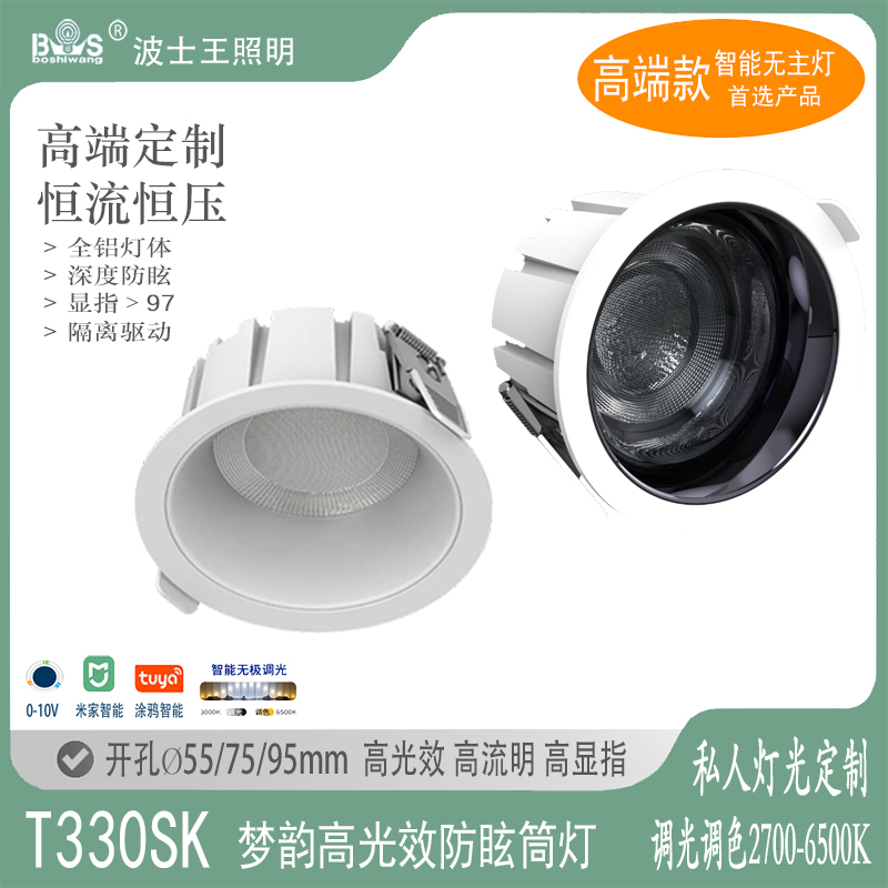T330SK梦韵 筒灯.jpg