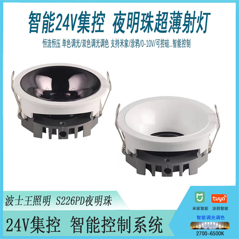 24V集控 S226PD夜明珠 超薄射灯.jpg
