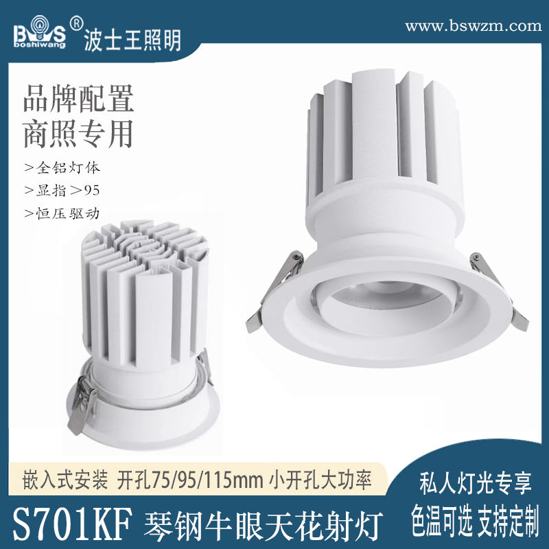S701KF琴钢 牛眼射灯29.jpg