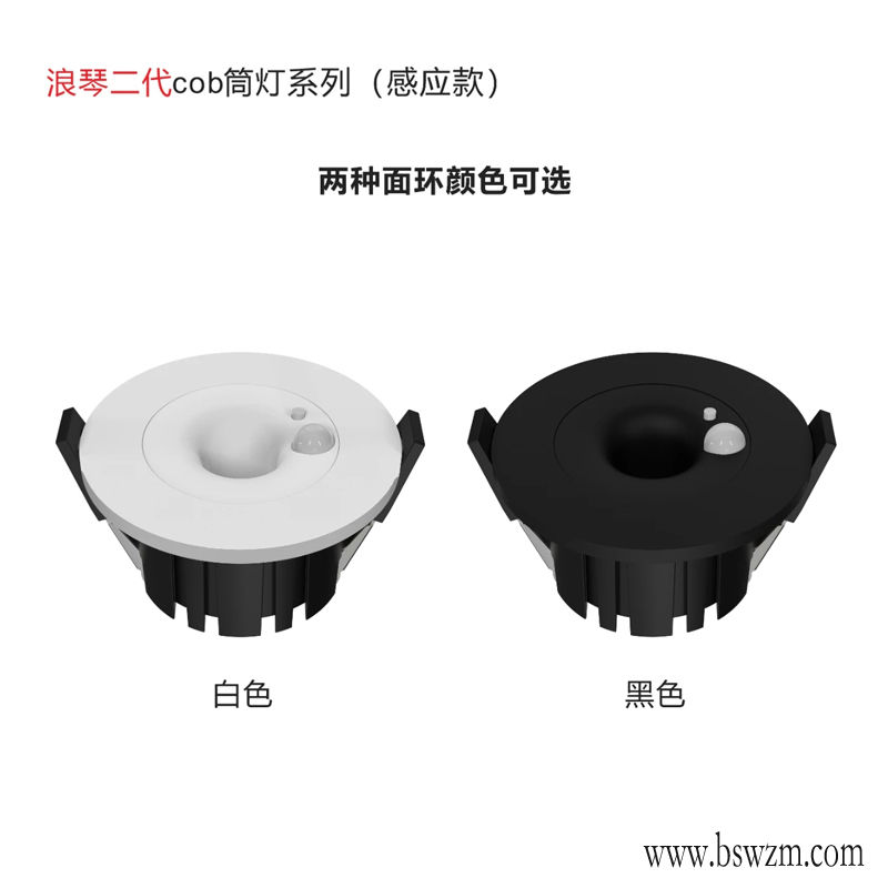 T337YX浪琴二代 感应筒灯4.jpg