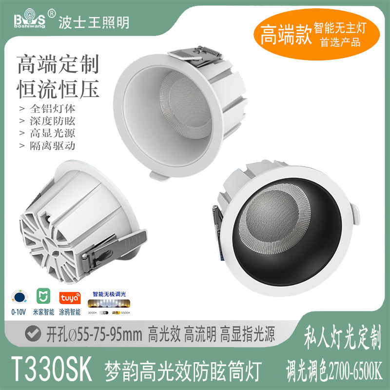 T330SK梦韵 筒灯.jpg