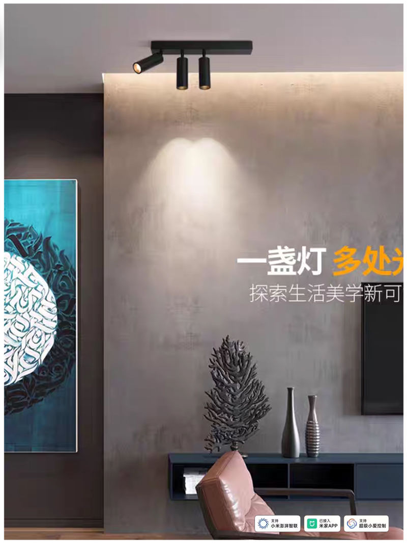 S5032YT艺光 明装12.jpg