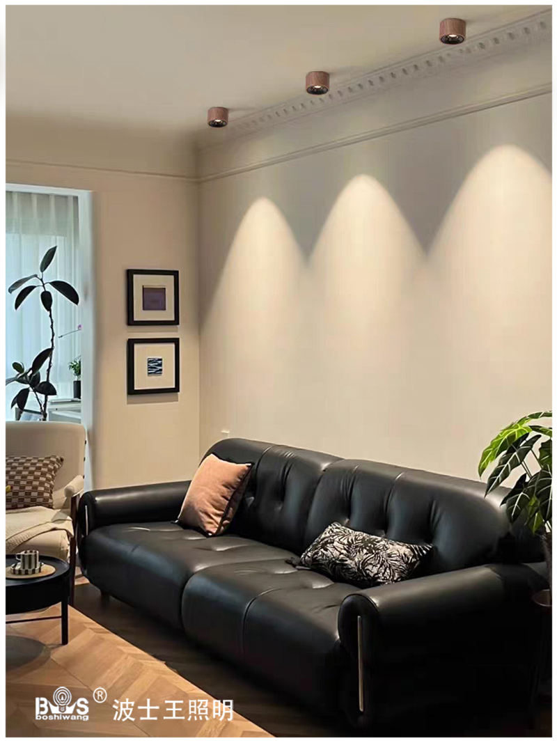 S5039YT可调 明装射灯14.jpg