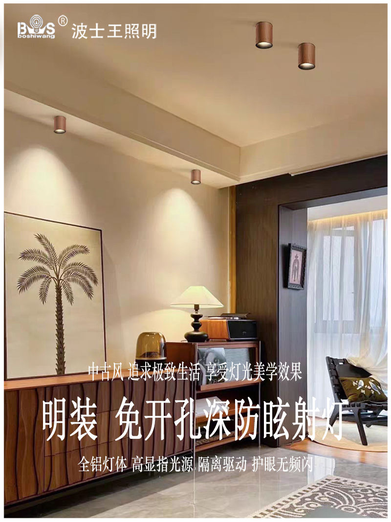 S5040YT不可调 明装射灯14.jpg