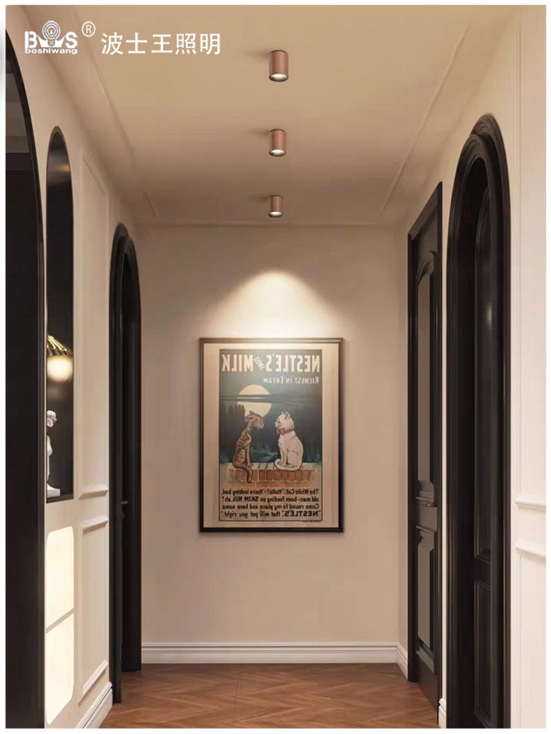 S5040YT不可调 明装射灯17.jpg