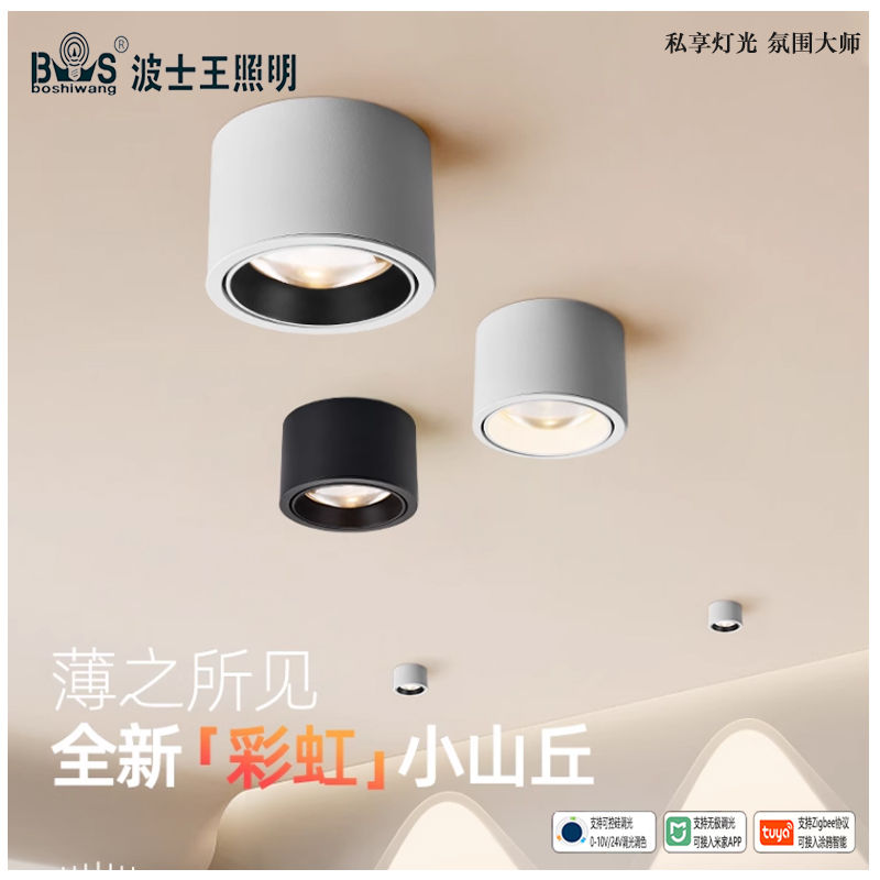 M762YT彩虹 明装射灯49.jpg