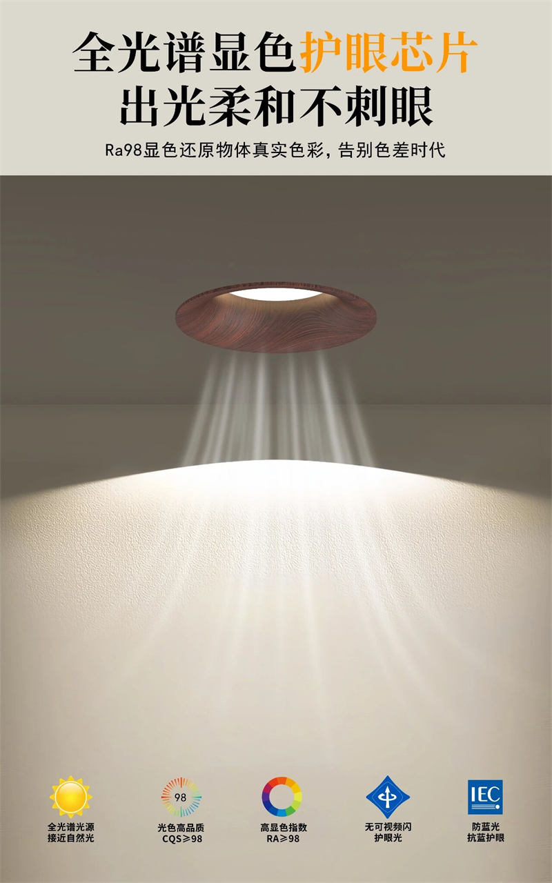 S551YH浪琴 高光效筒灯24.jpg