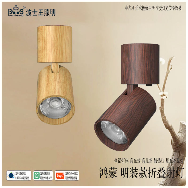 S5057YH鸿蒙 明装 折叠射灯55.jpg