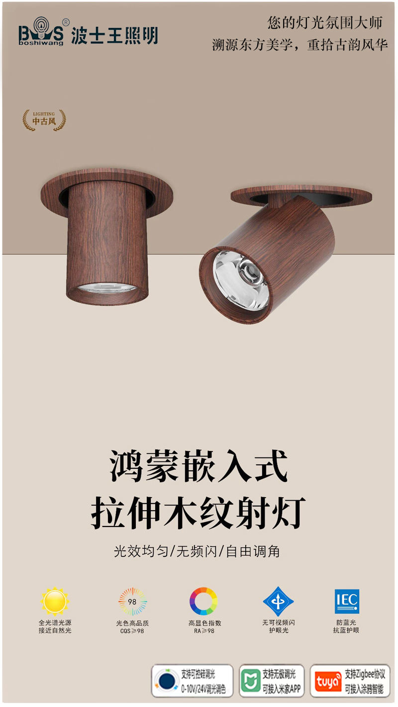 S5058YH鸿蒙 拉伸射灯11.jpg