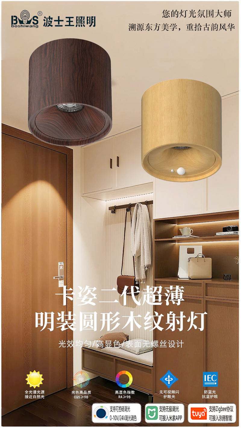 S5059YH卡姿二代 明装圆形射灯11.jpg