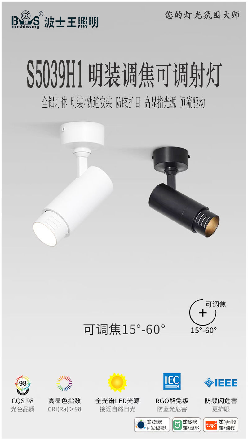 S5039H1调焦 明装射灯1.jpg