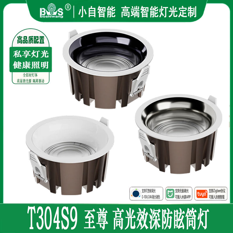 T304S9至尊 高光效1.jpg