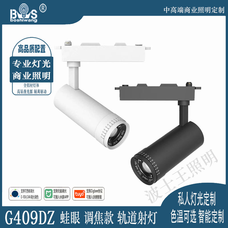 G409DZ蛙眼 调焦款 轨道射灯.jpg