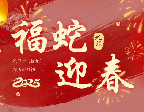 【SAVILE】2025乙巳蛇年，砥砺前行！萨维尔集团给您拜年啦！