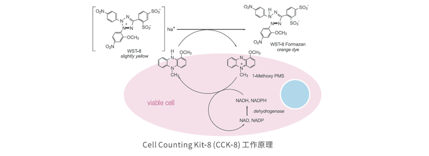 20251128185216_19594.png image.png