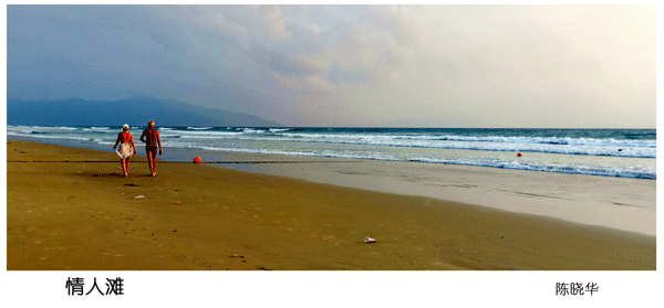 2019上期摄影班学员陈晓华作品1