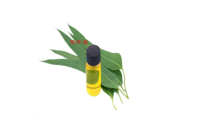 桉叶油海运需要的资料有哪些