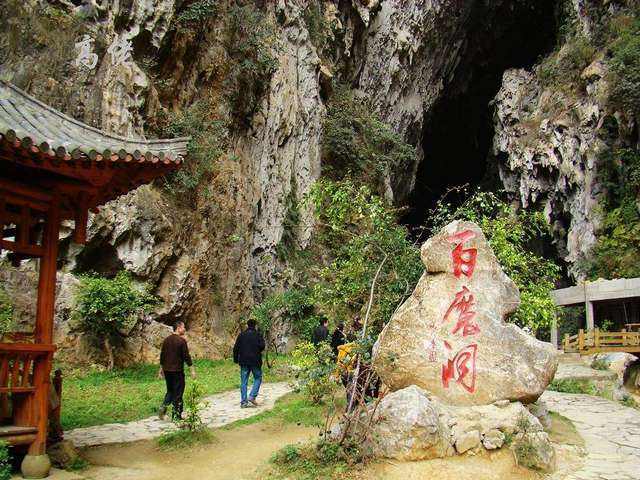 巴馬養生體驗四遊