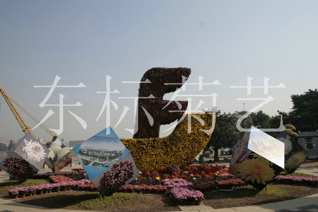 2008年小榄菊花展（经济腾飞）