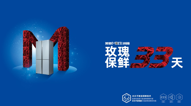 合肥美菱集团控股有限公司