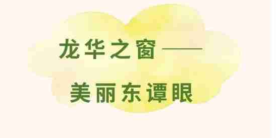 东谭数字化