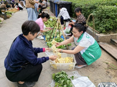 20241211110319_54347.png image.png