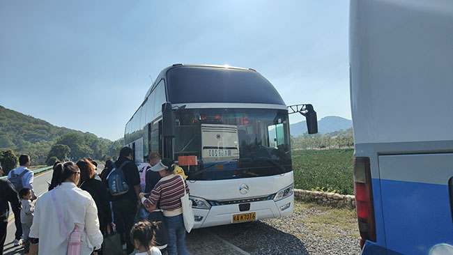 旅游商务包车案例展示
