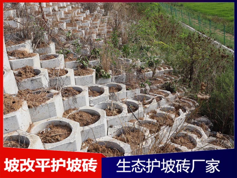 坡改平生态护坡砖工程案例
