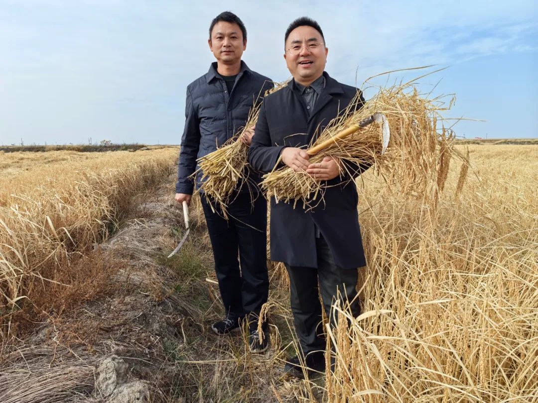 20241025140533_17558.jpg 04.jpg