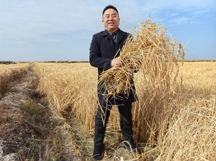 稻谷丰收 新米飘香 | 蒸谷食品董事长严伟龙亲赴原粮基地，见证丰收的喜悦