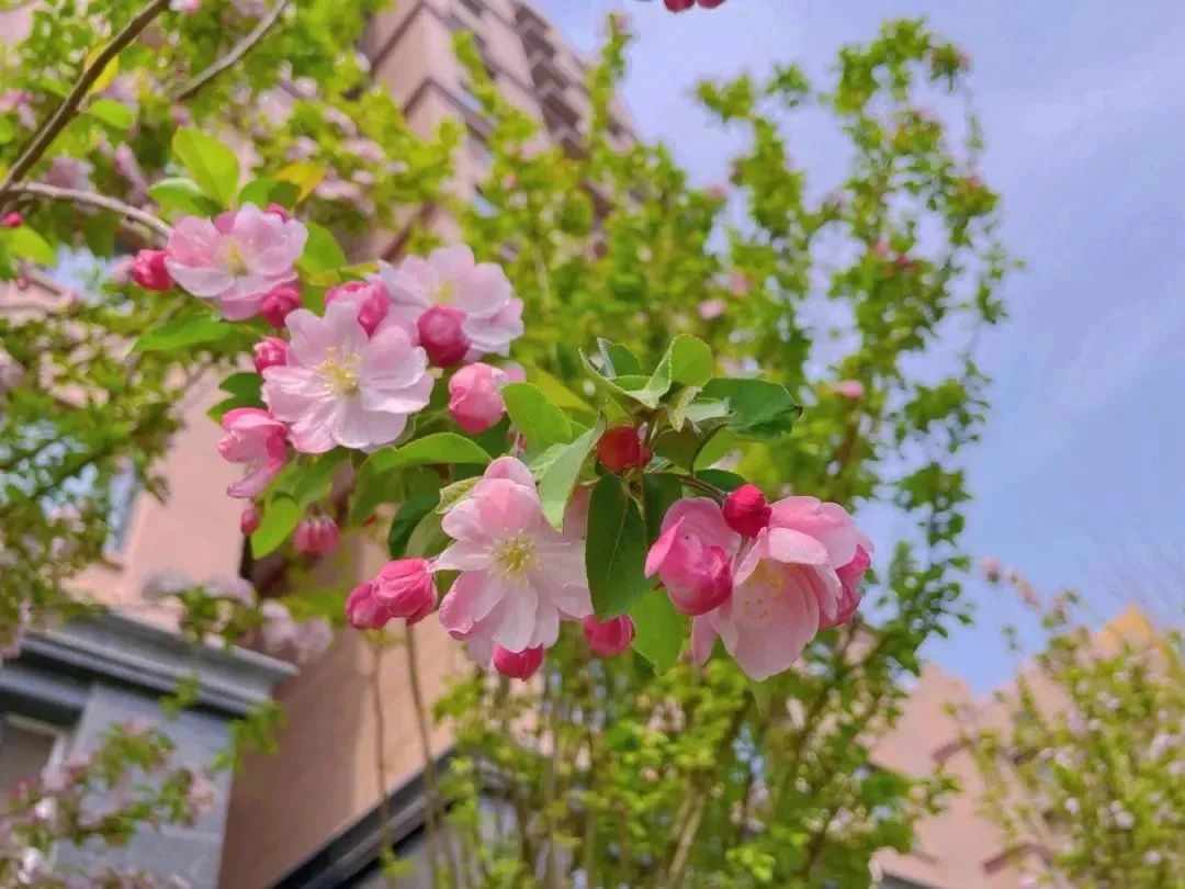 20230321160006_98075.jpg 20230321160006_98075.jpg