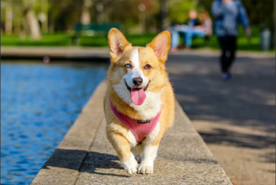 20240717161627_69682.png image.png