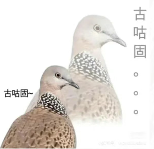 20250701110310_73566.png image.png