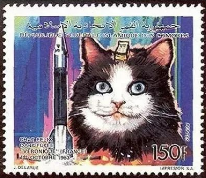 20250819152250_77371.png image.png