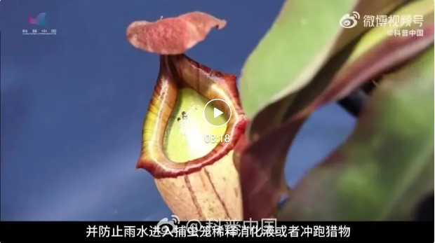 20260327164905_23261.png image.png