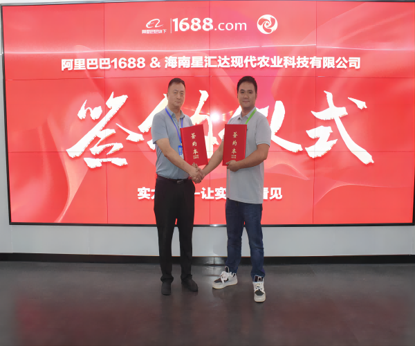 与阿里巴巴签署战略合作协议