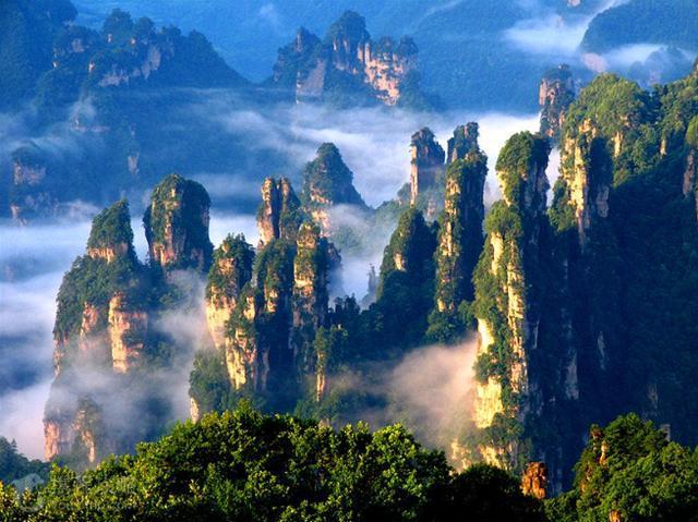 张家界市副市长欧阳斌接见安徽省湖南商会会长张友吉