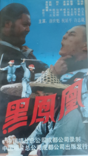 《黑凤凰》国产1990年电视剧