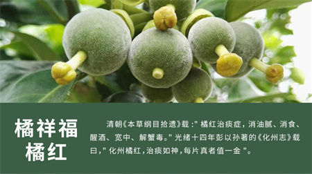 橘祥福：好的芳华  会品味生活百味