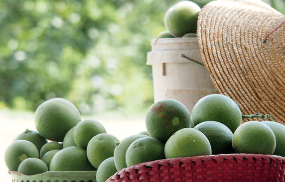 20230607134114_67678.png image.png