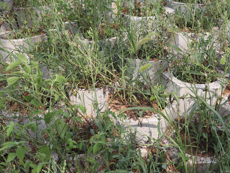 AHXL-0871 坡改平生态护坡砖