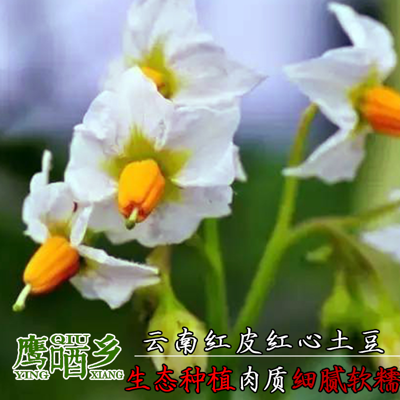 20220218115432_82919.jpg (终)1-1-6.jpg