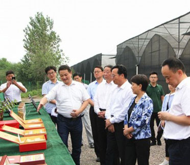 千企帮千村”精准扶贫活动