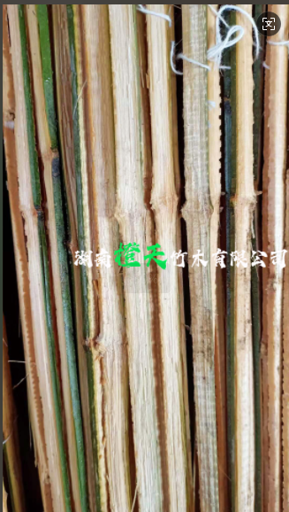 20250417094354_76818.png image.png