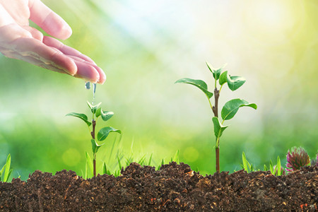摄图网_400308307_浇灌小树苗（非企业商用）_副本.jpg