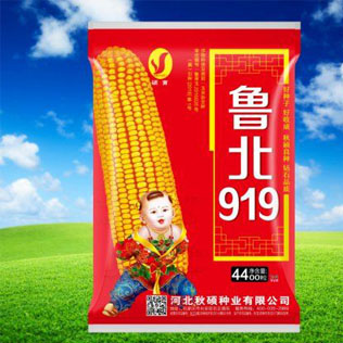 Cloud Zoom small image