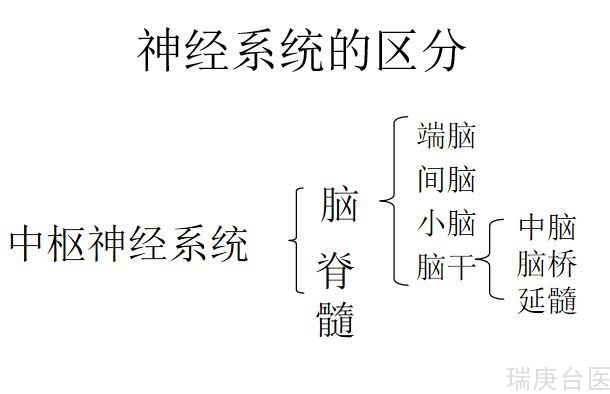 BNCT | 新型肿瘤辅助治疗方法之一