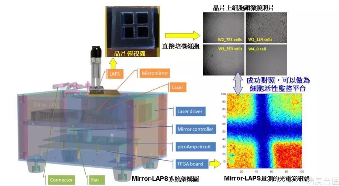 【台湾长庚医院医学新知】长庚团队成功开发新颖毒性检测芯片